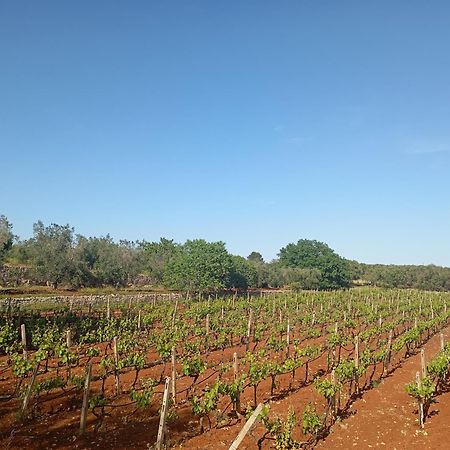 Masseria Le Betulle San Vito dei Normanni Buitenkant foto