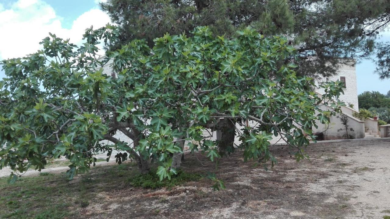Masseria Le Betulle San Vito dei Normanni Buitenkant foto